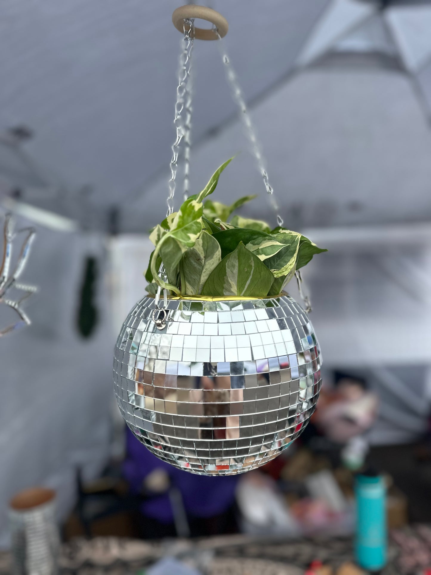 Disco Ball Planters (6 inch and 10 inch) Event Rental